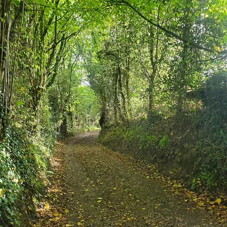 Le Cambremer
