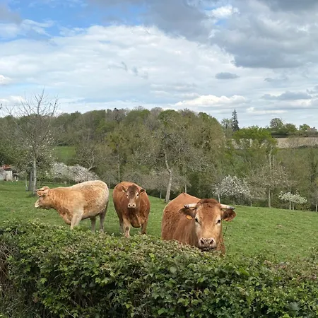 Le Apartment Cambremer