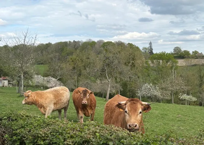 Le Apartment Cambremer
